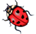ladybird.png